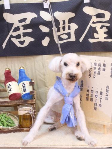 20240608まろんくん